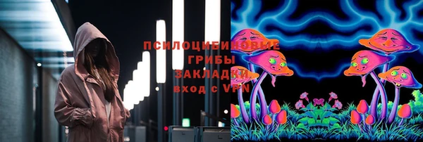 синтетический гашиш Богородицк