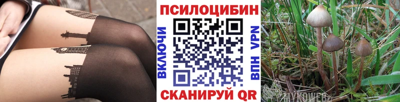 где продают   Морозовск  Галлюциногенные грибы Magic Shrooms 